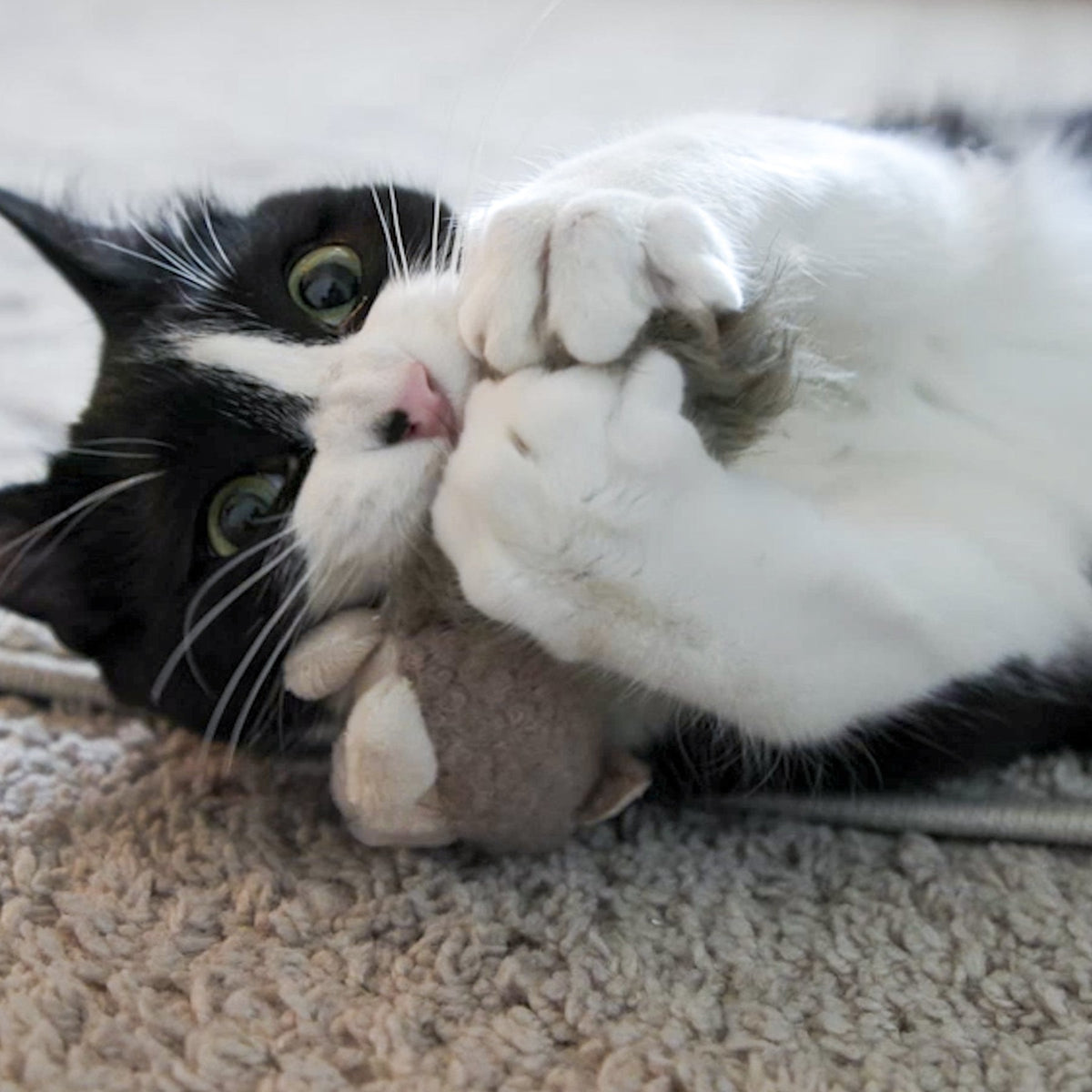 Wee Feller Squirrelie Catnip Cat Toy | HuggleKats®