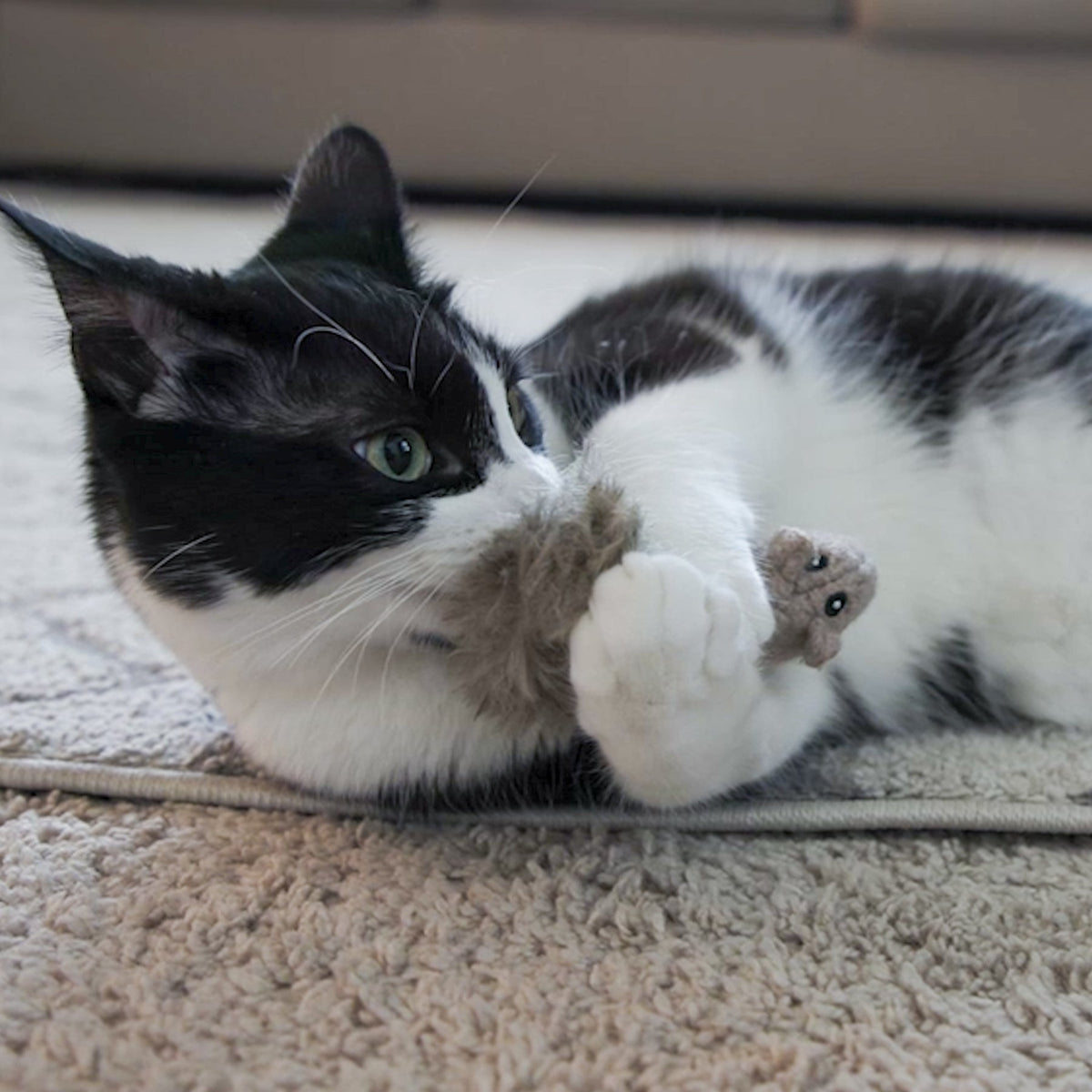 Wee Feller Squirrelie Catnip Cat Toy | HuggleKats®