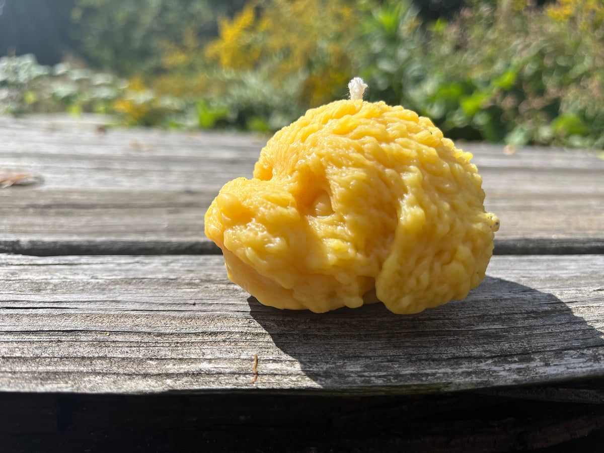 Beeswax Puppy Face Candle