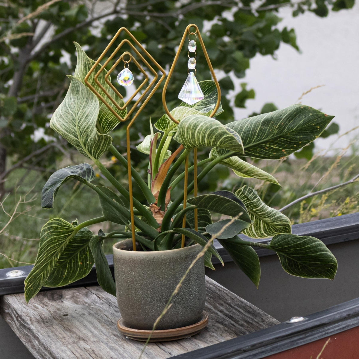 Gold Plant Trellis with Crystal