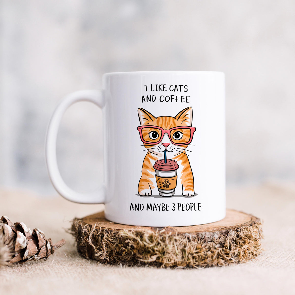 I Like Cats & Coffee & Maybe 3 People Mug