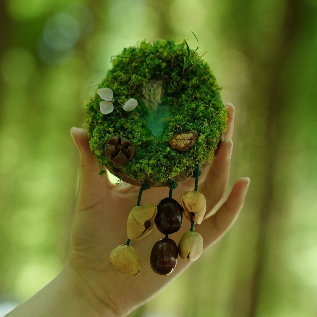 "Acorn Family" Moss Forest Fridge Magnet
