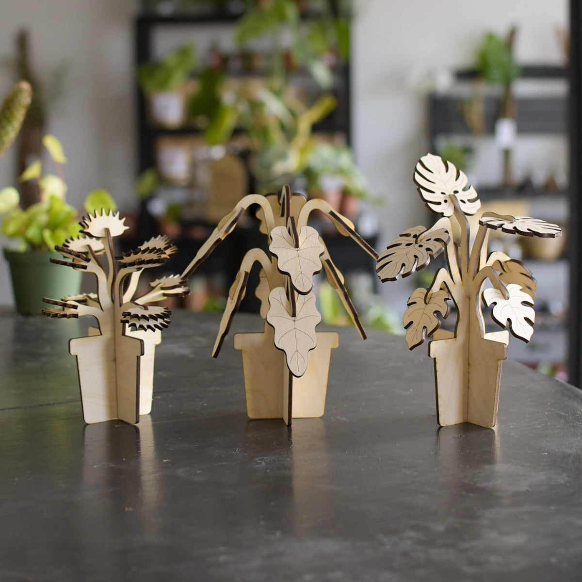 Build A Plant - Monstera