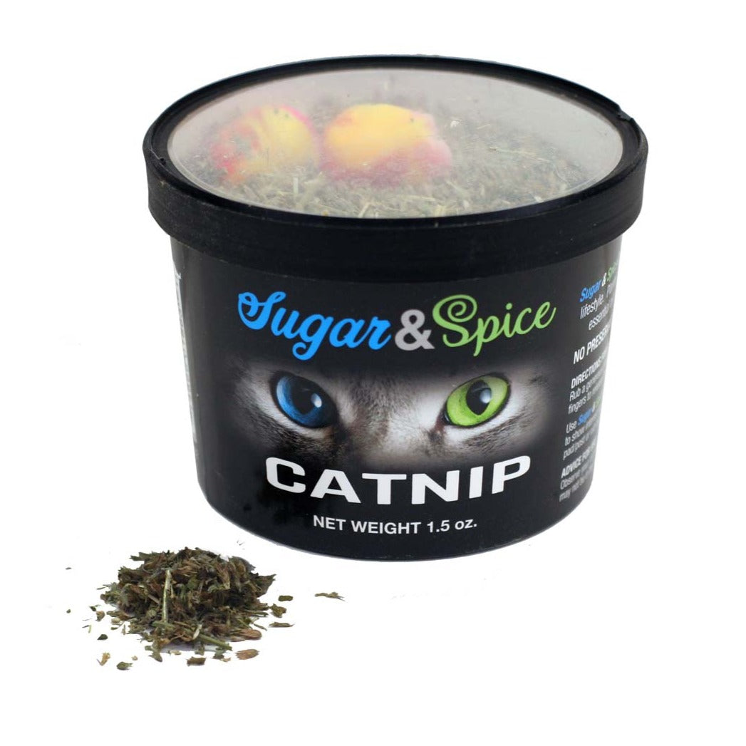 Sugar & Spice Natural Catnip | 1.5 oz Container