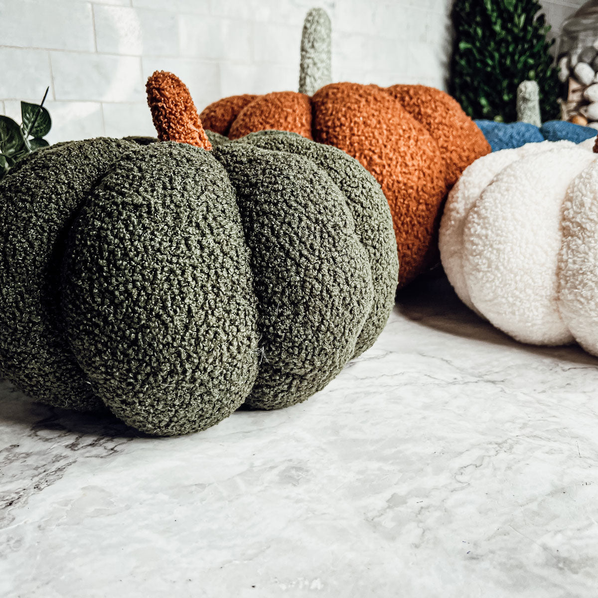 Plush Teddy Velvet Pumpkins