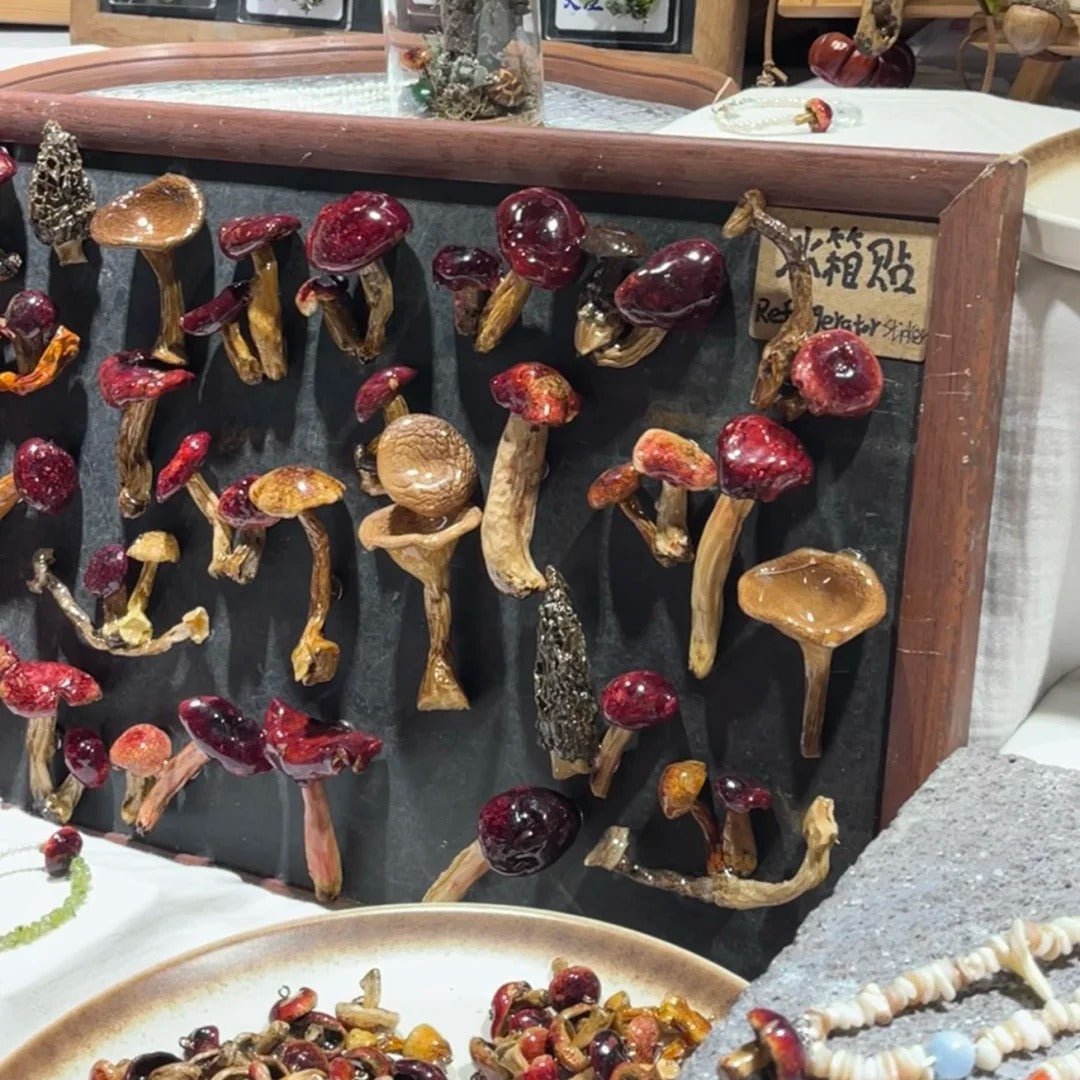 Handcrafted Real-Mushroom Fridge Magnets