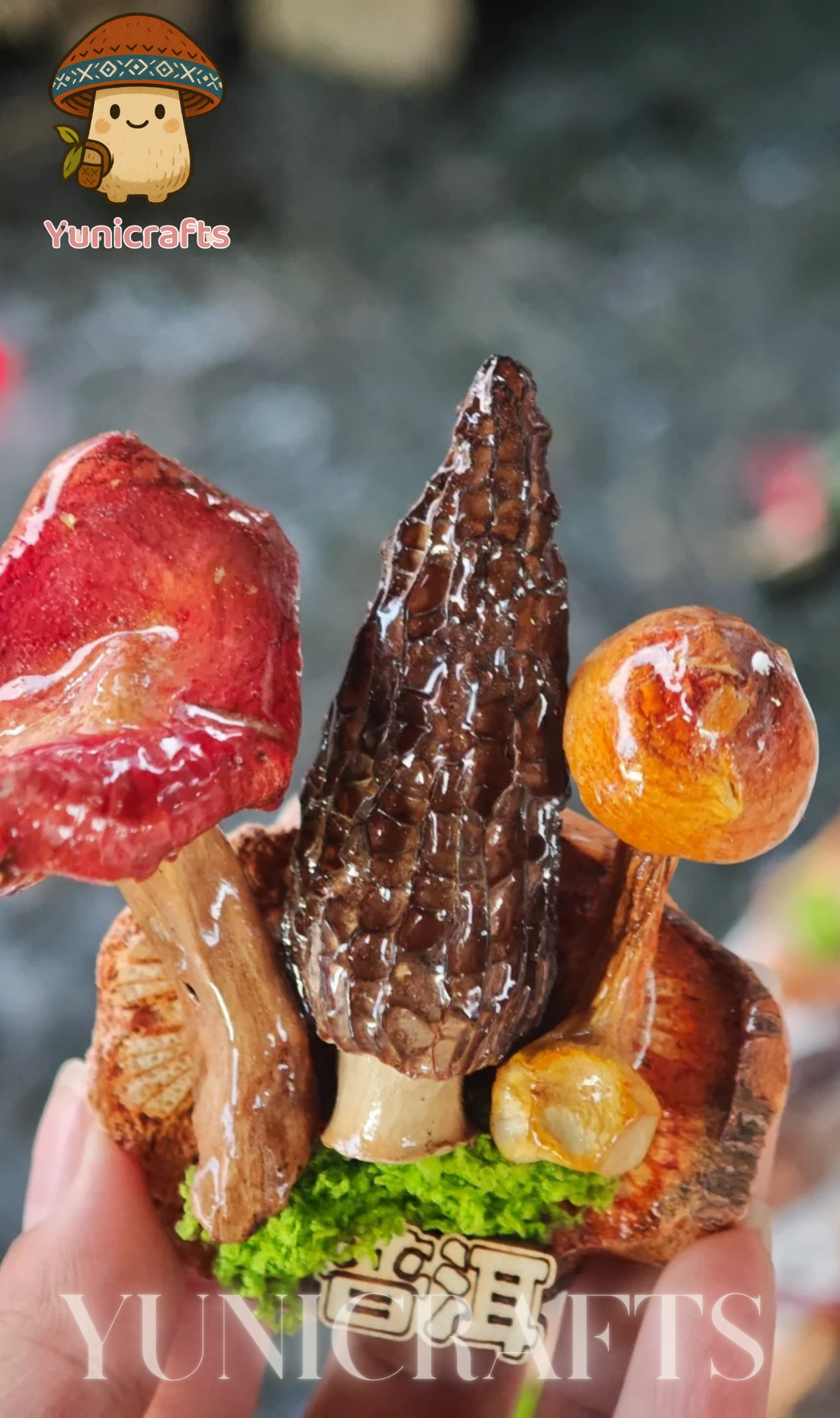 Handcrafted Real-Mushroom Fridge Magnets