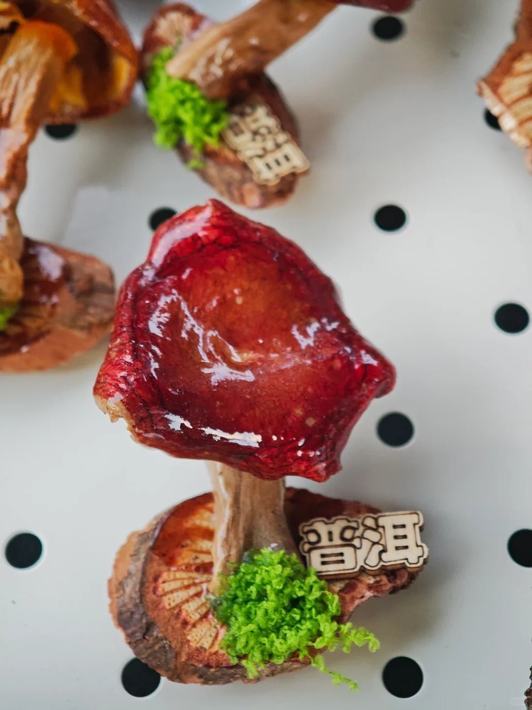 Handcrafted Real-Mushroom Fridge Magnets