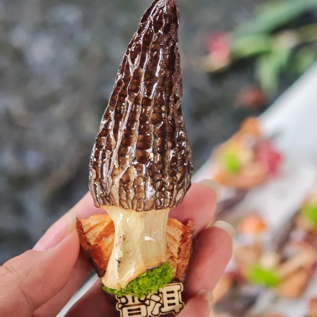 Handcrafted Real-Mushroom Fridge Magnets