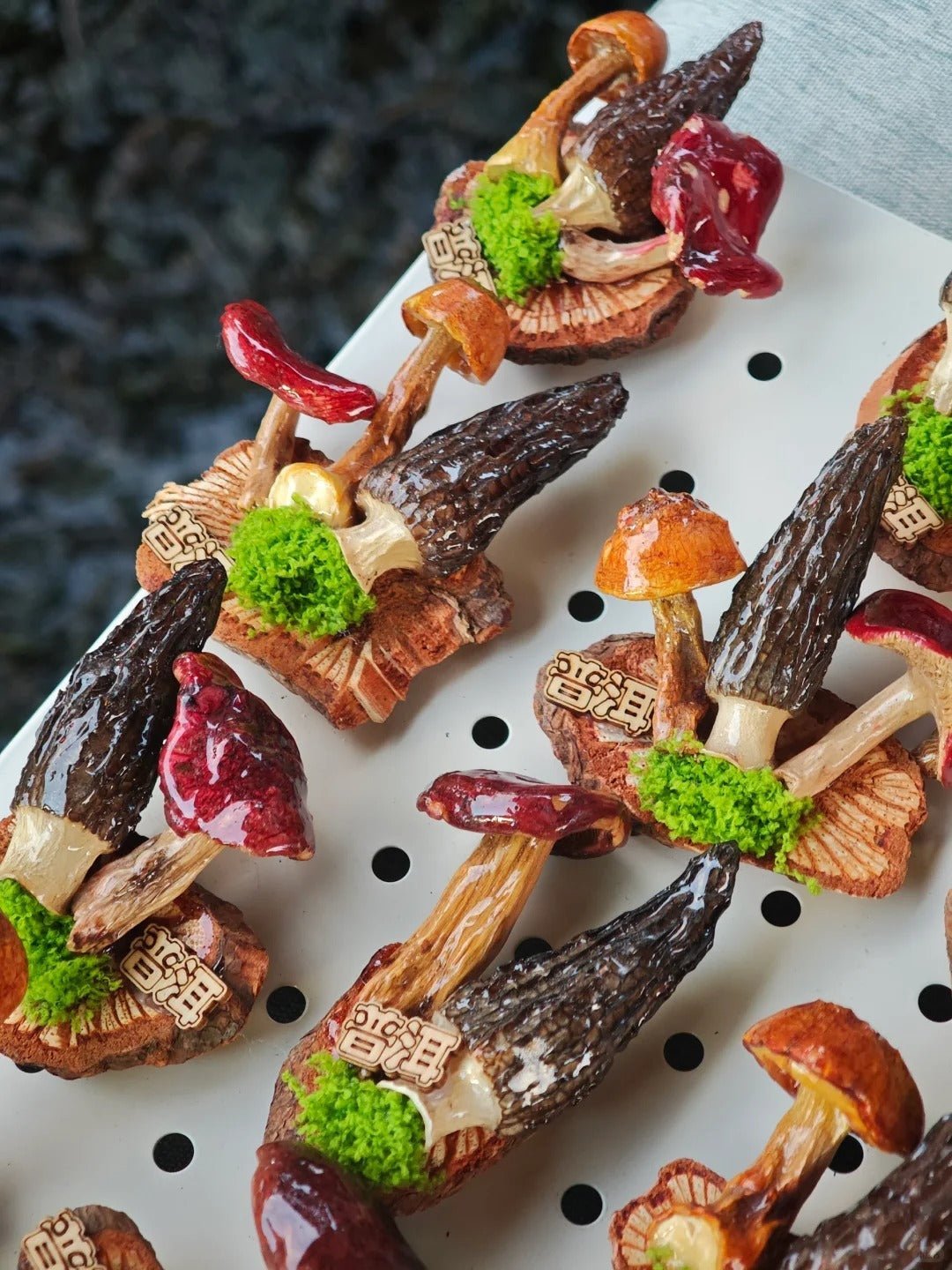 Handcrafted Real-Mushroom Fridge Magnets