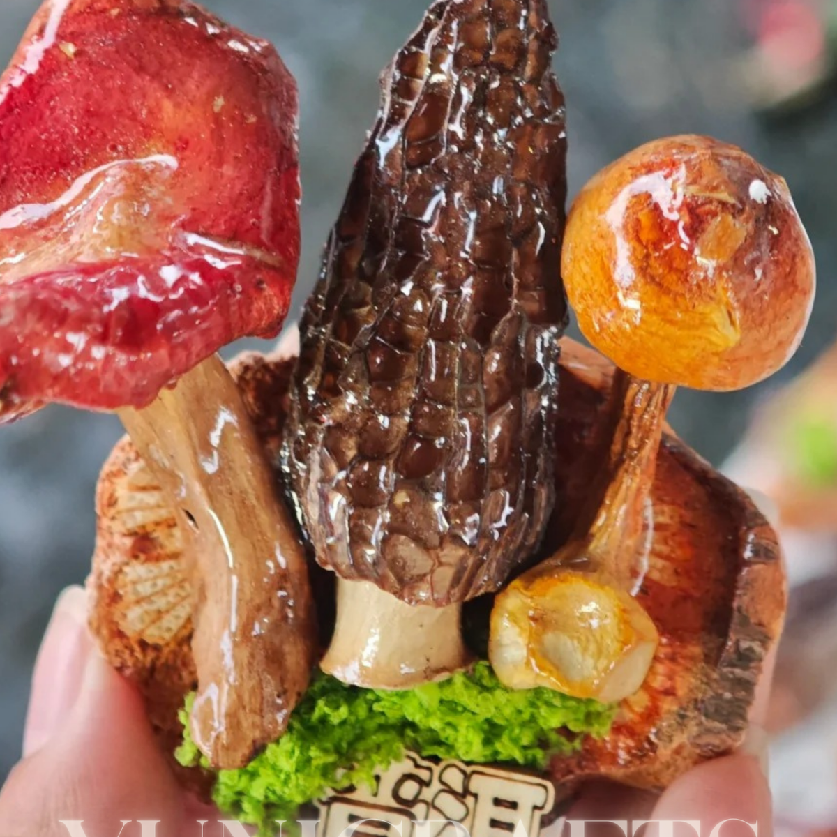 Handcrafted Real-Mushroom Fridge Magnets