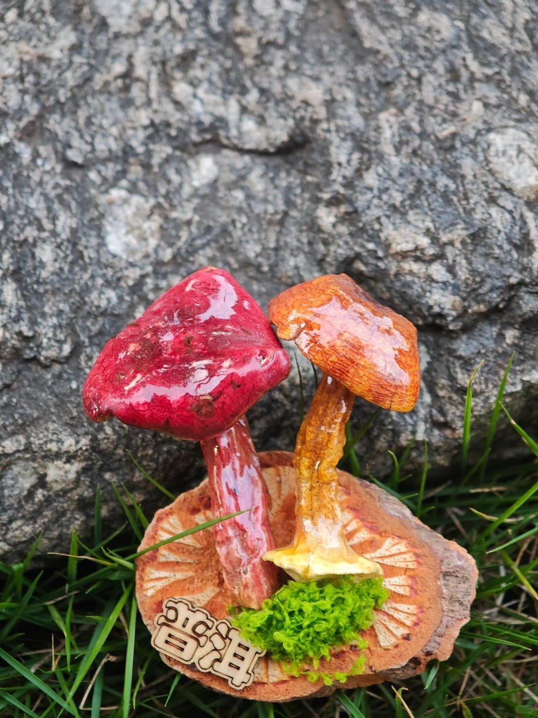 Handcrafted Real-Mushroom Fridge Magnets