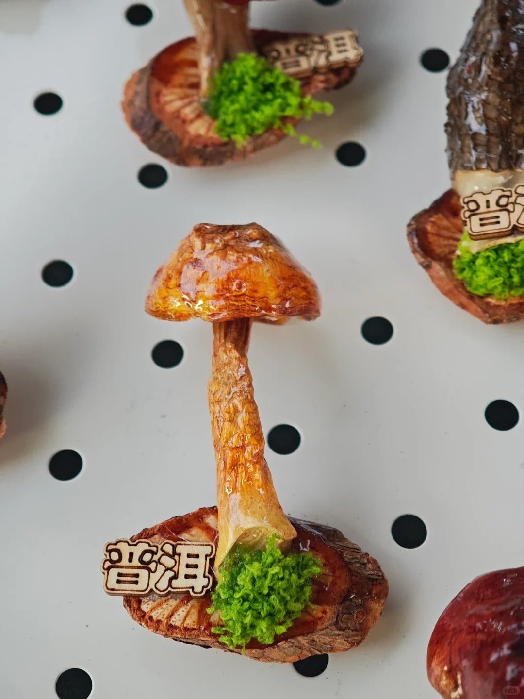 Handcrafted Real-Mushroom Fridge Magnets