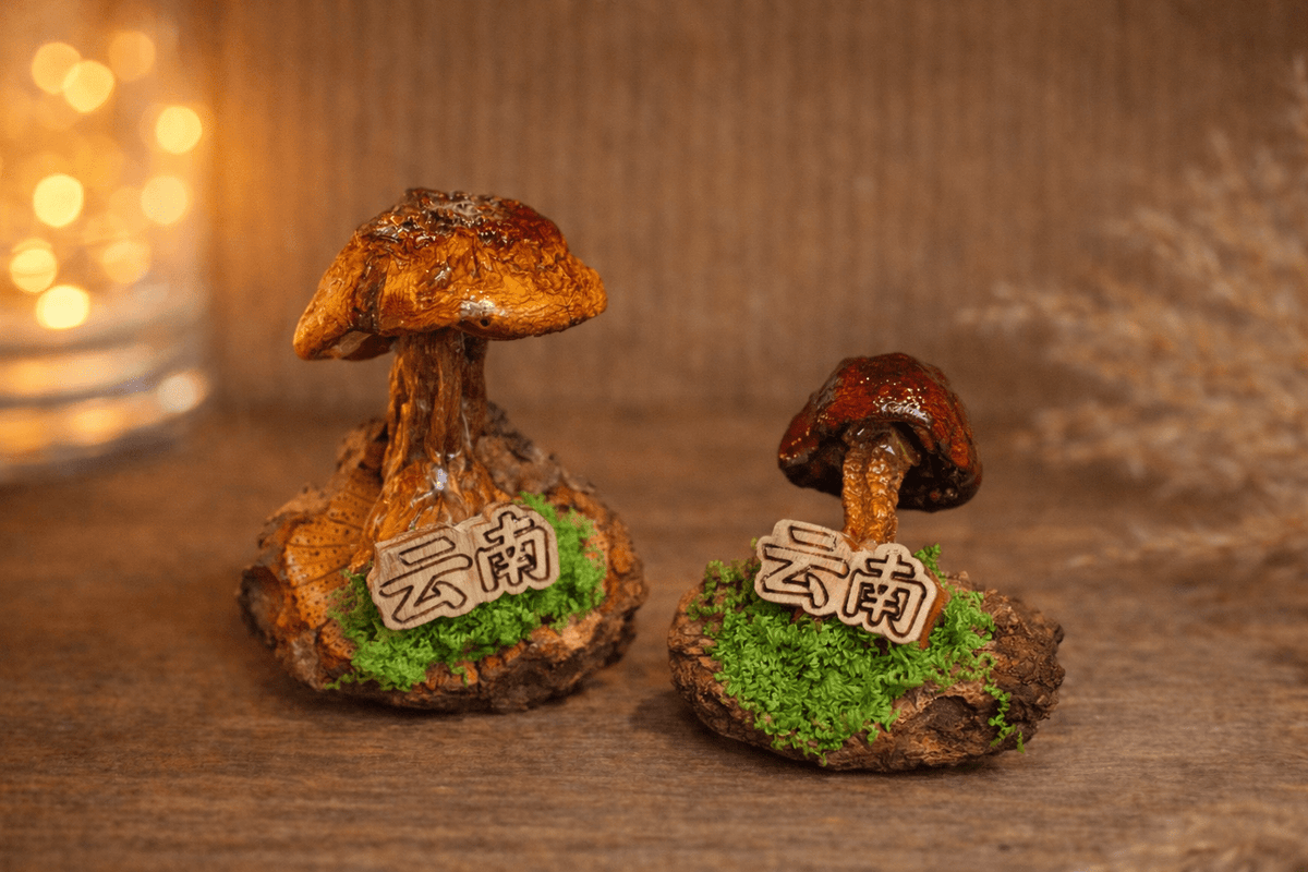 Handcrafted Real-Mushroom Fridge Magnets
