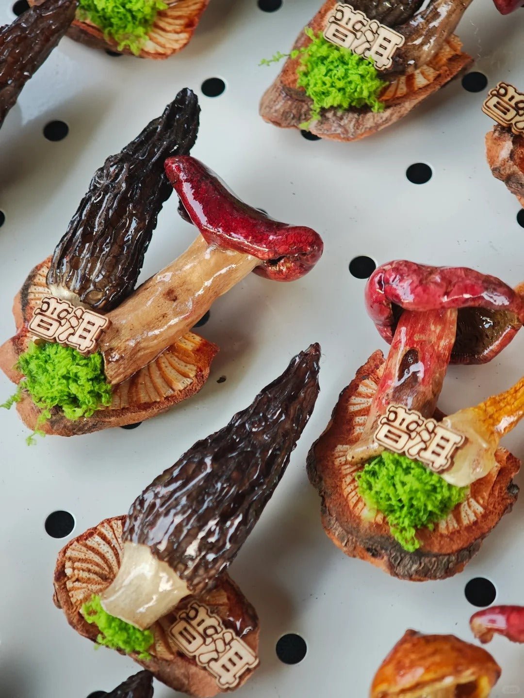 Handcrafted Real-Mushroom Fridge Magnets