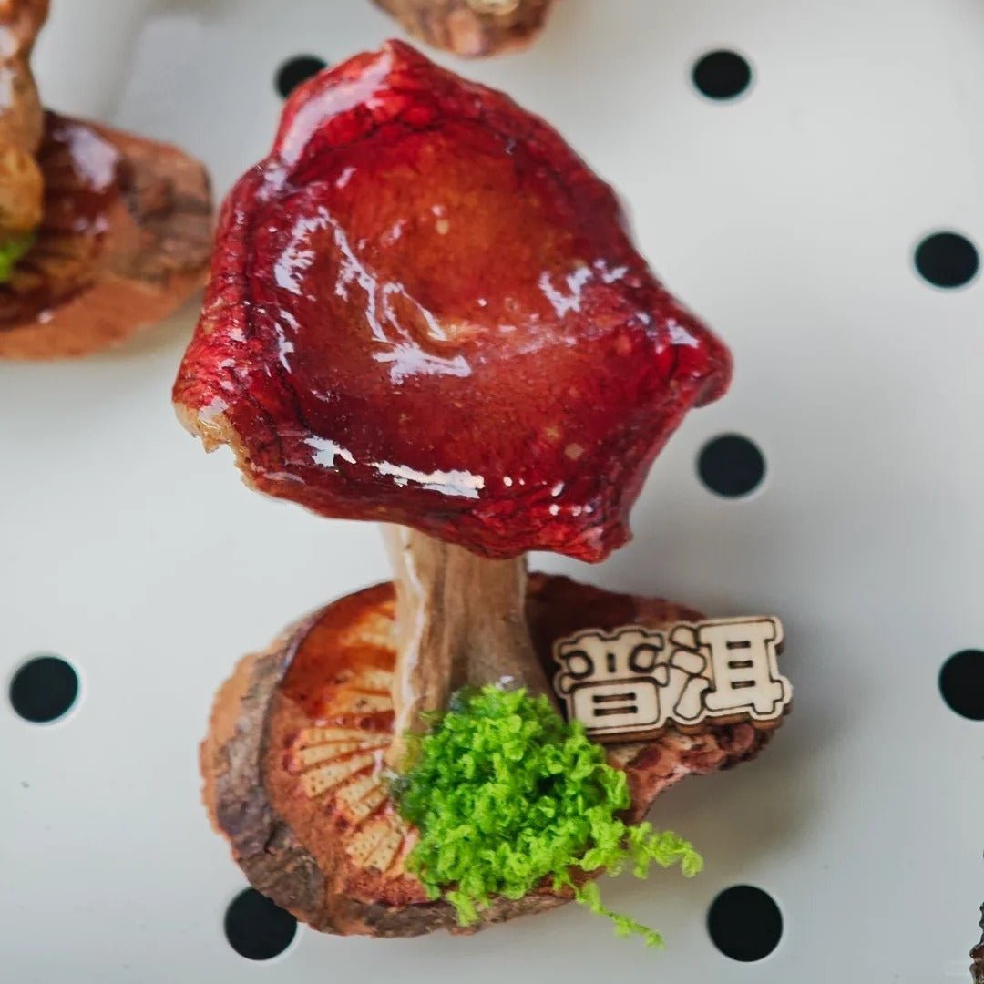 Handcrafted Real-Mushroom Fridge Magnets