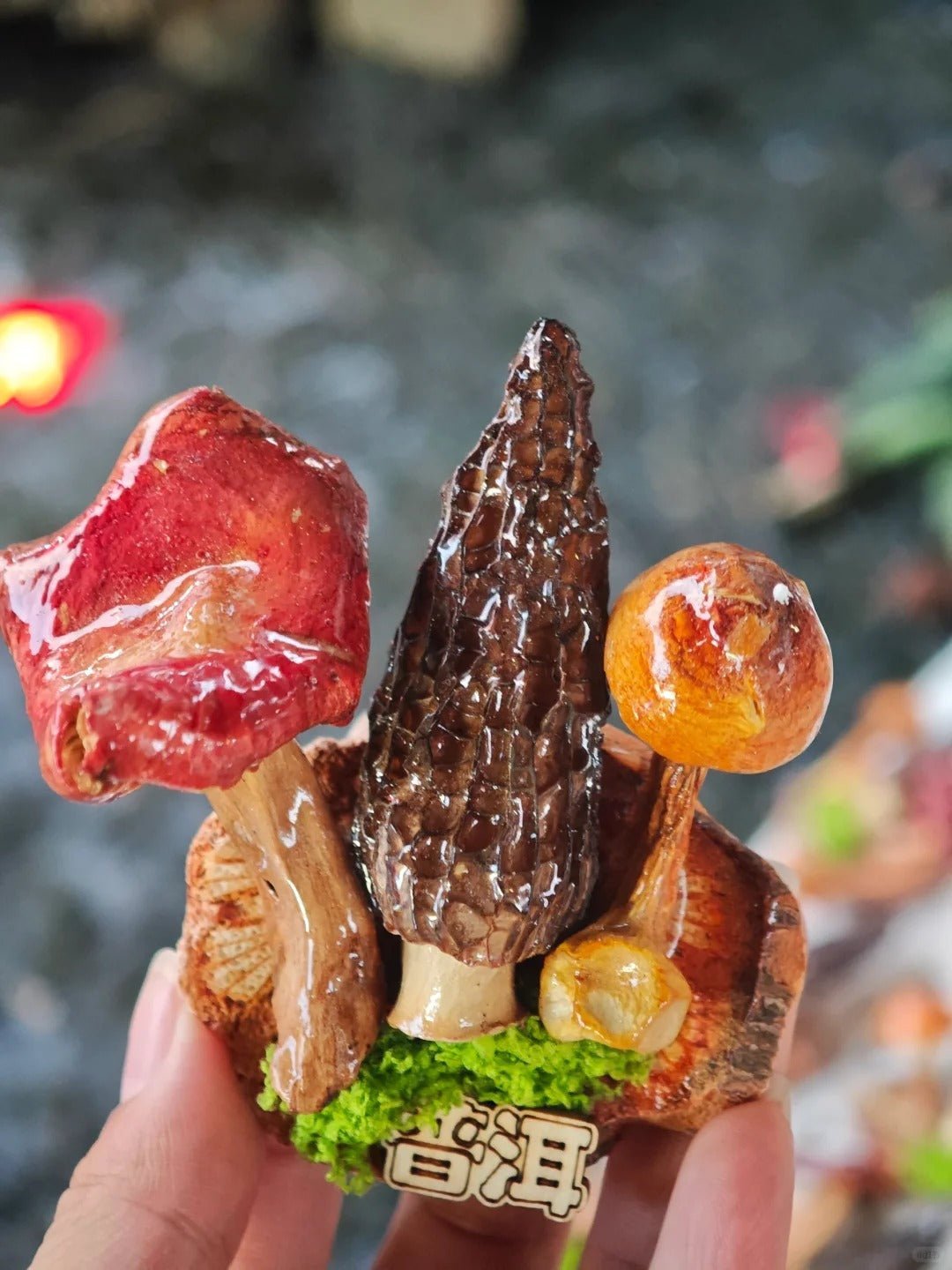 Handcrafted Real-Mushroom Fridge Magnets
