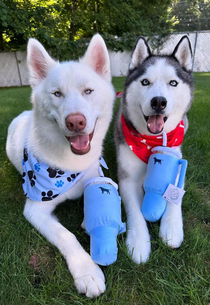 Pup Cup Squeaky Tumbler Dog Toy