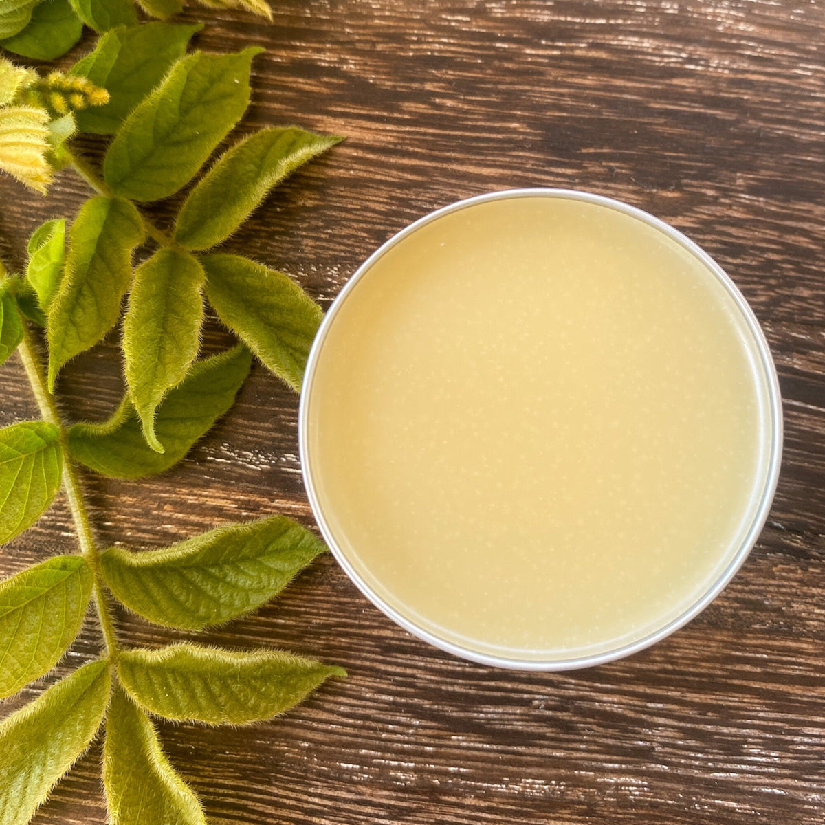 Lavender All-Purpose Balm | Handmade Skin & Lip Salve | 1 oz