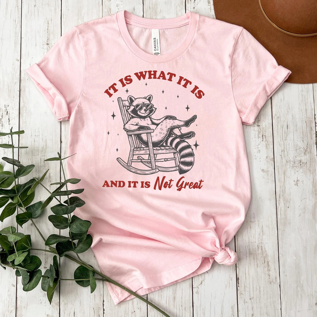 It Is What It Is & It Is Not Great Raccoon T-Shirt