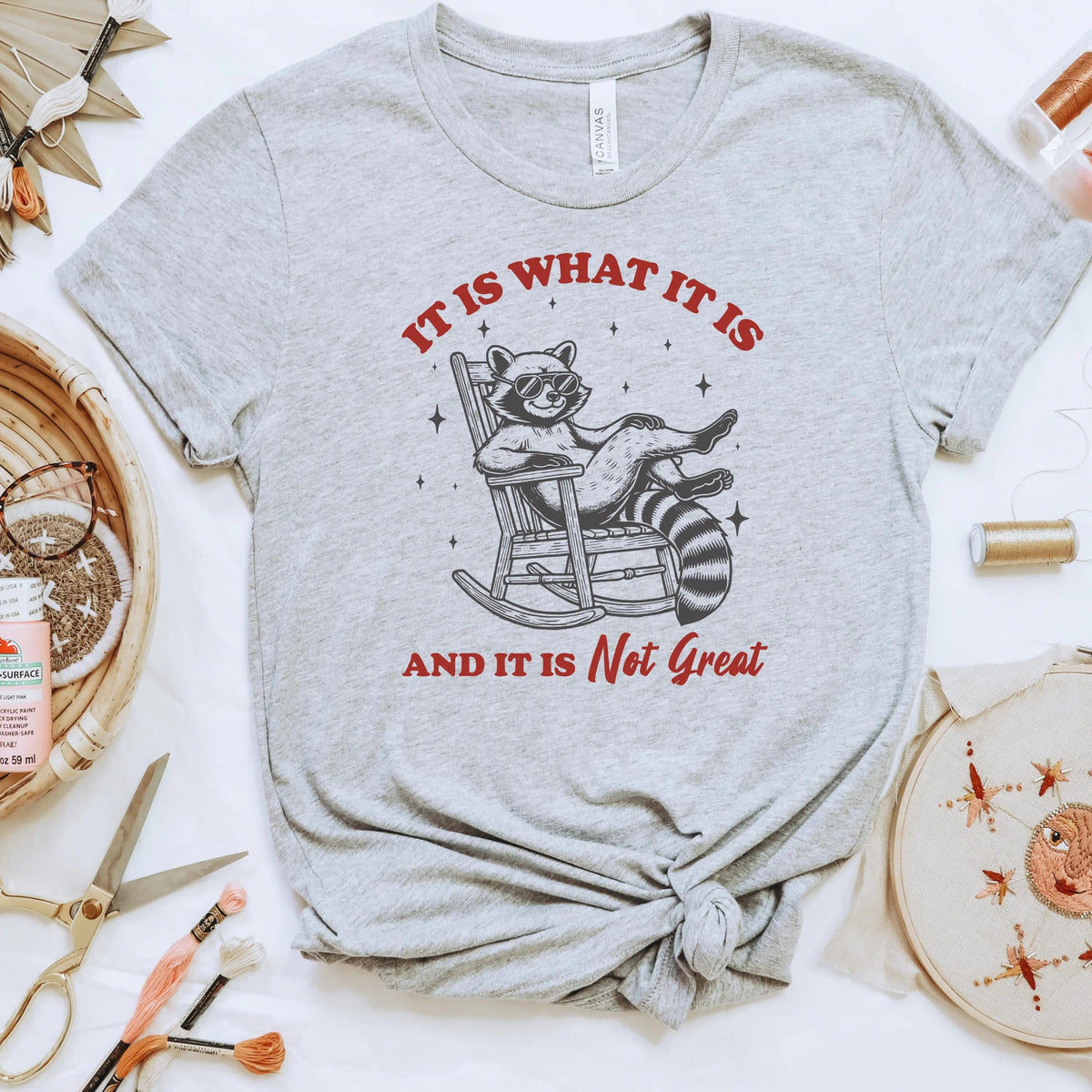 It Is What It Is & It Is Not Great Raccoon T-Shirt
