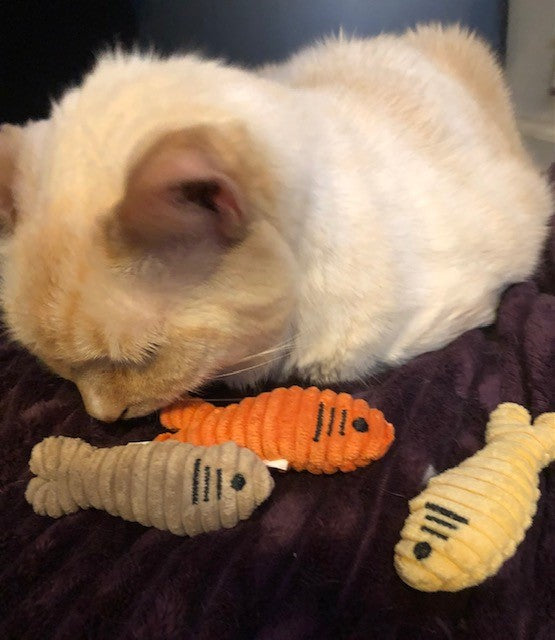 Sardinies Catnip & Crinkle Cat Toys – 3 Pack | HuggleKats®