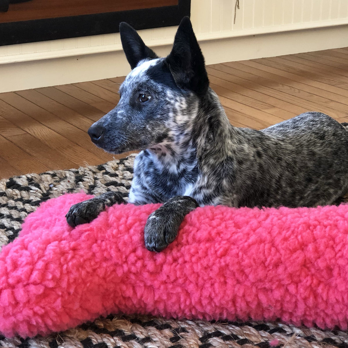 Pink HuggleFleece® Bone Dog Toy | HuggleHounds HuggleCause™