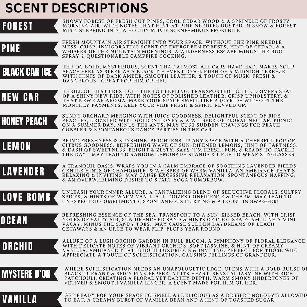 Naughty List & No Regrets Christmas Car Air Freshener