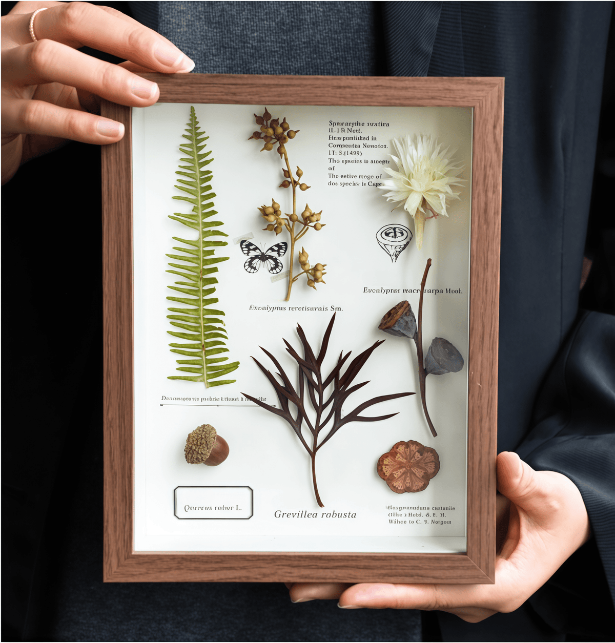 The Botanist's Journal | Real Pressed Botanical Art