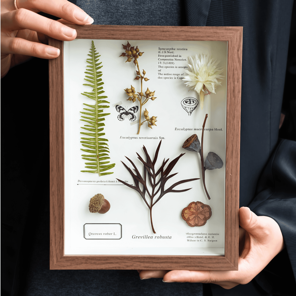 The Botanist's Journal | Real Pressed Botanical Art
