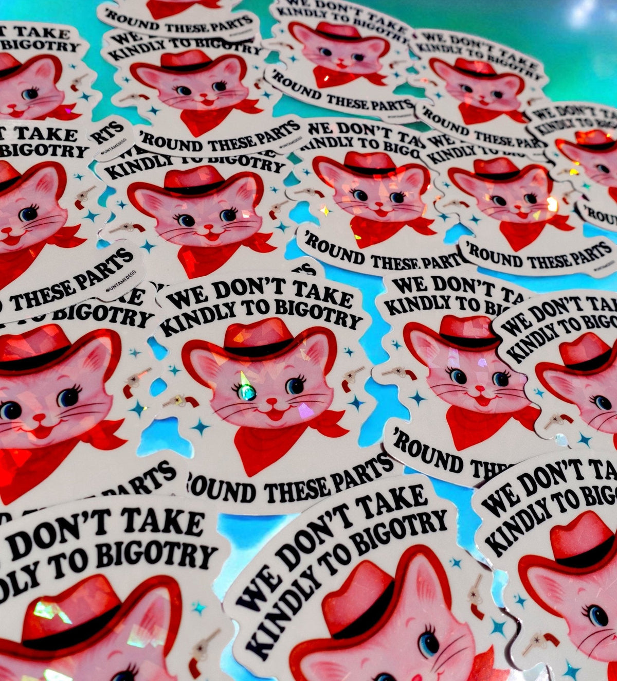 We Don’t Take Kindly to Bigotry Sticker