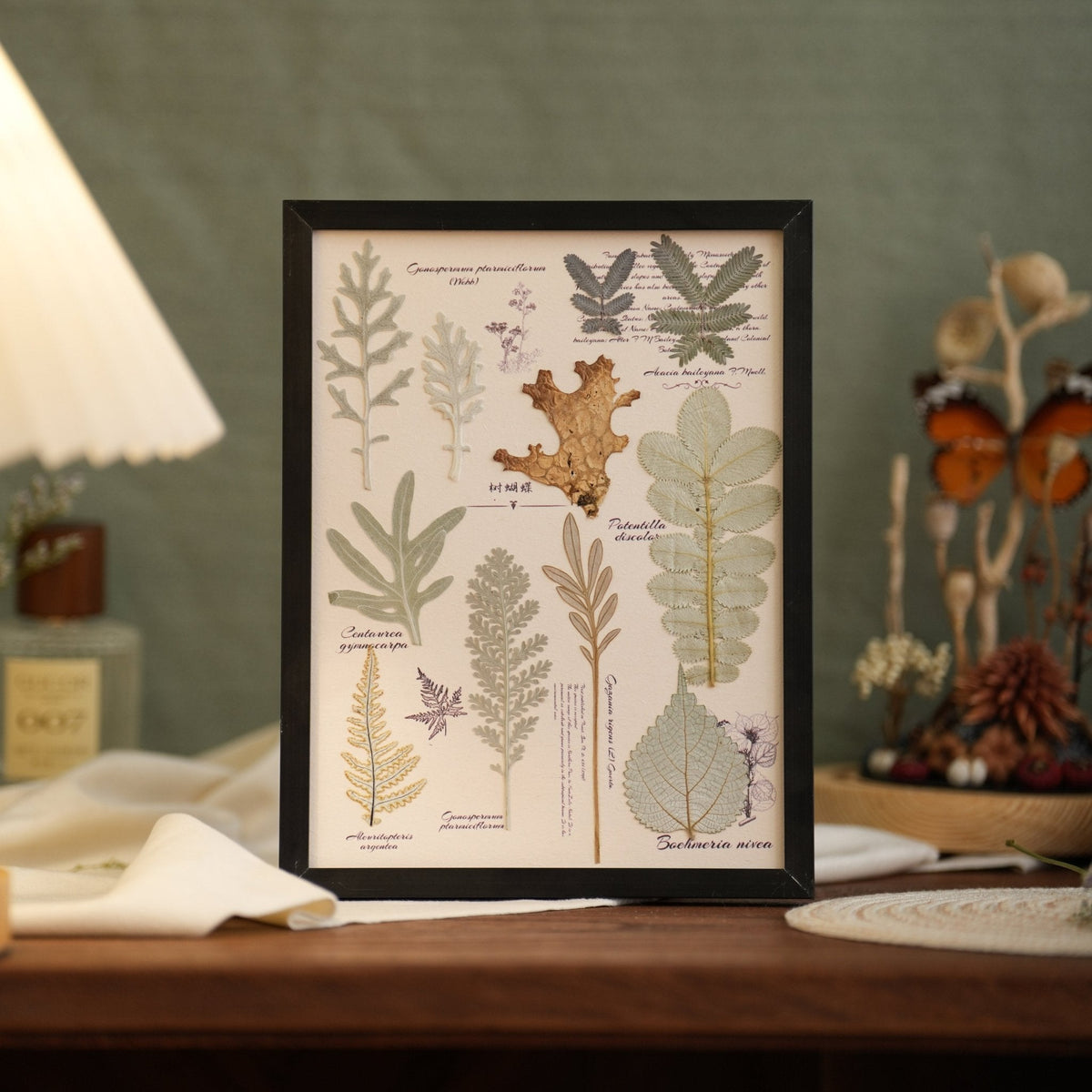 The Botanist's Journal | Real Pressed Botanical Art