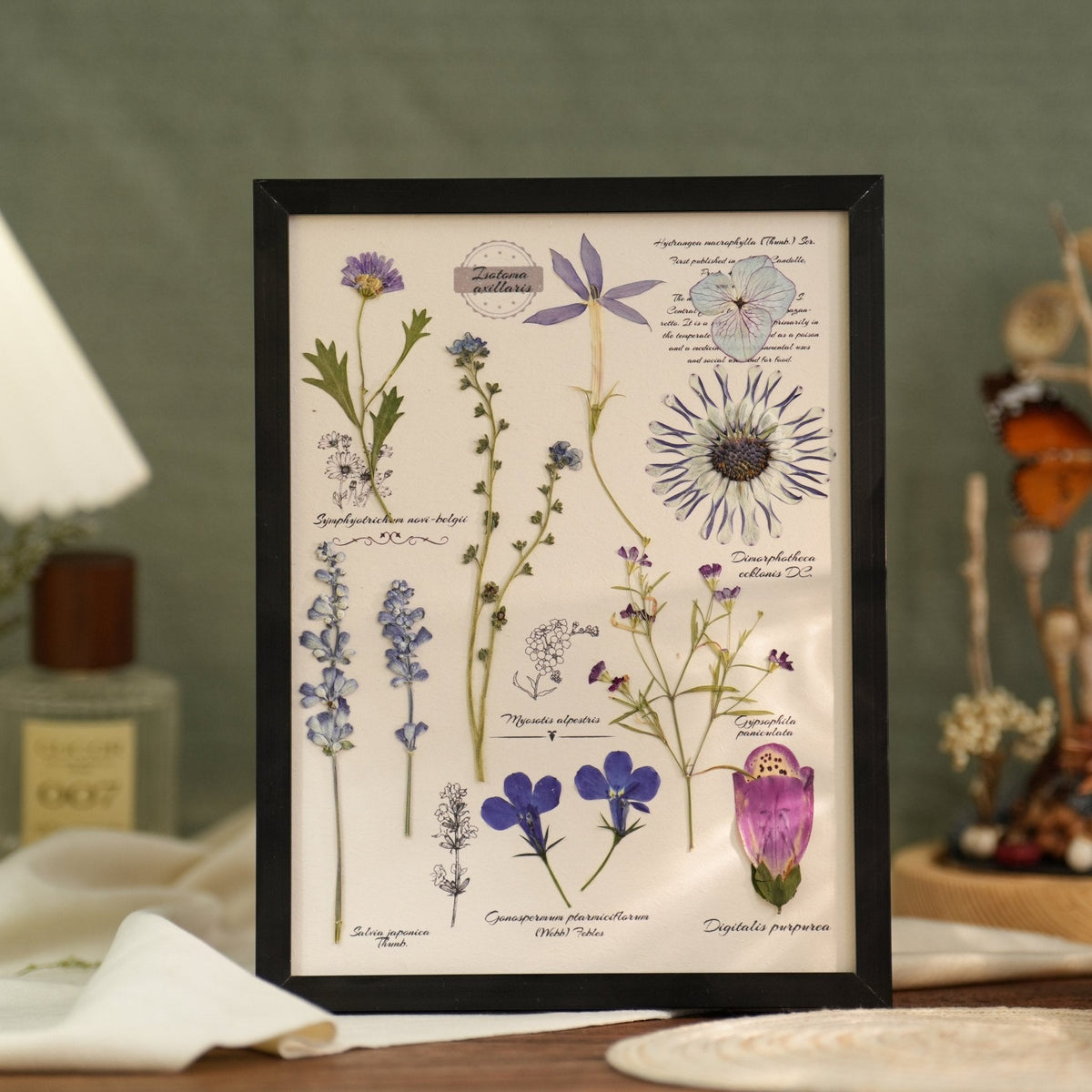 The Botanist's Journal | Real Pressed Botanical Art