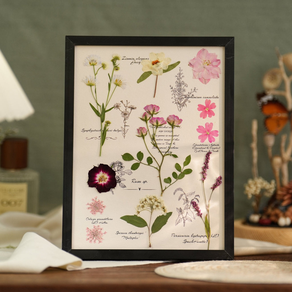 The Botanist's Journal | Real Pressed Botanical Art