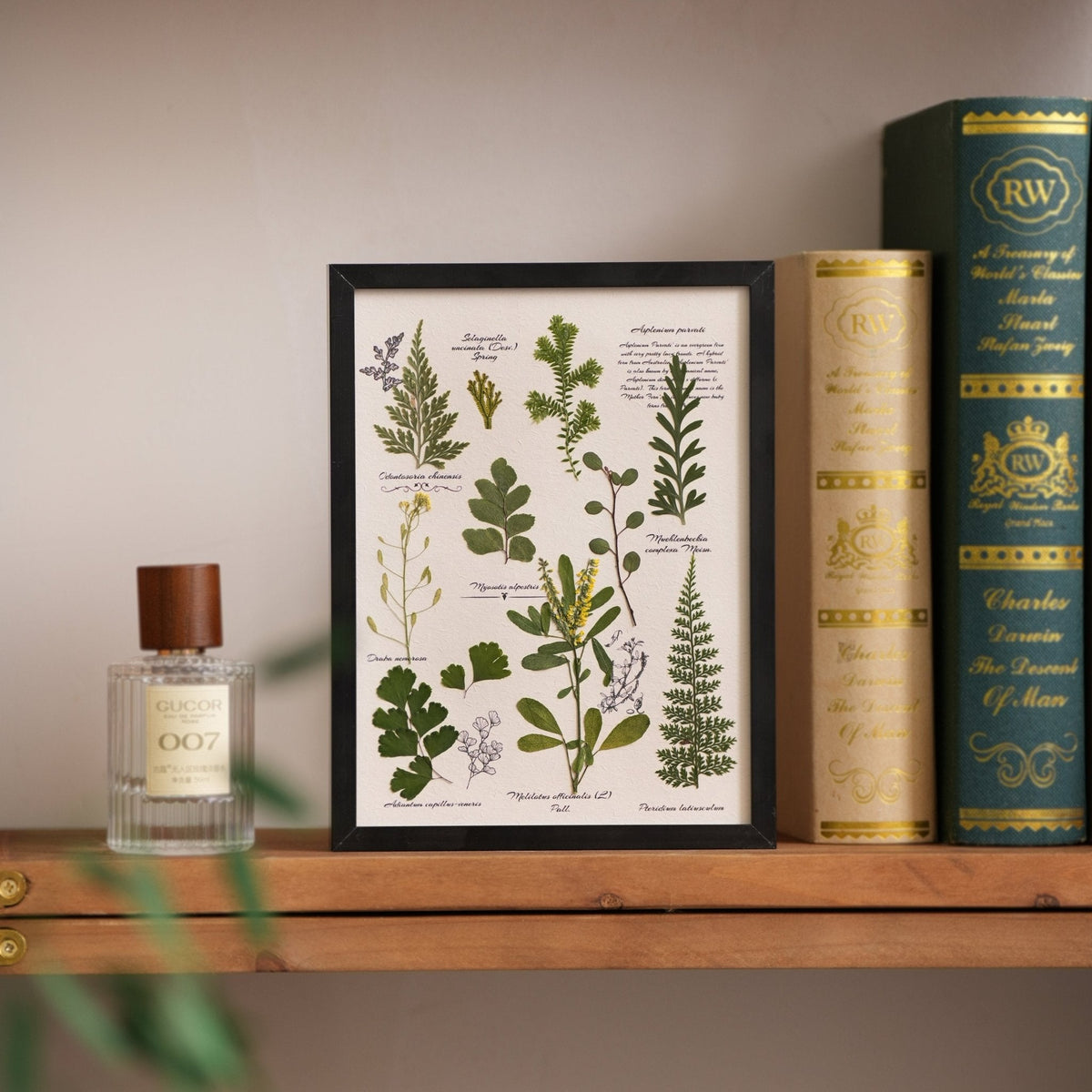 The Botanist's Journal | Real Pressed Botanical Art
