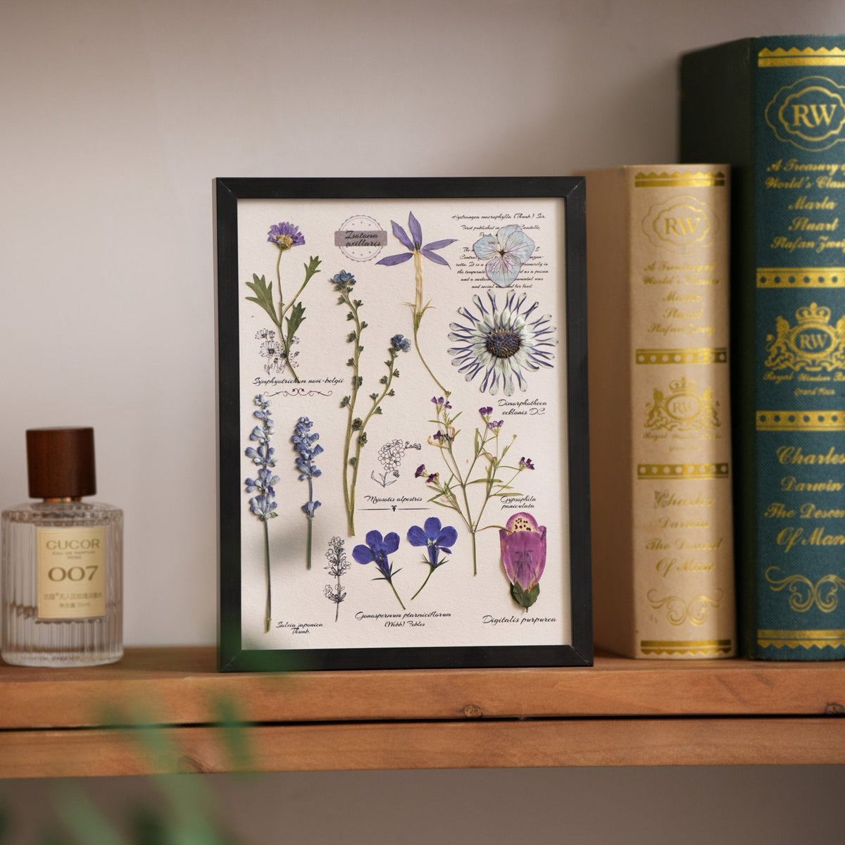 The Botanist's Journal | Real Pressed Botanical Art