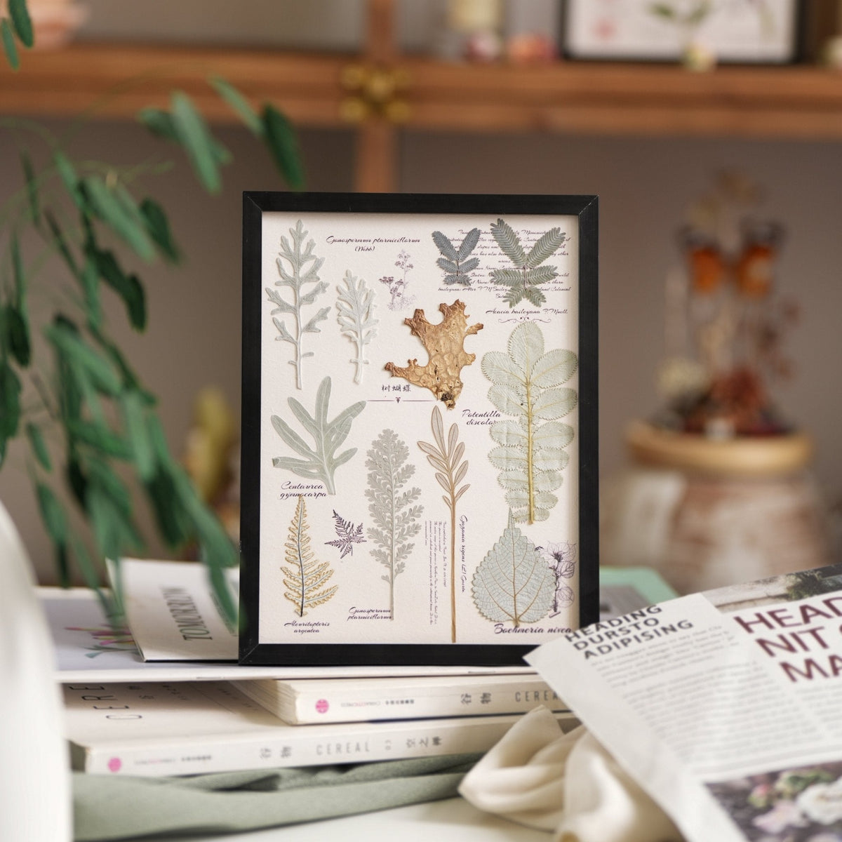 The Botanist's Journal | Real Pressed Botanical Art