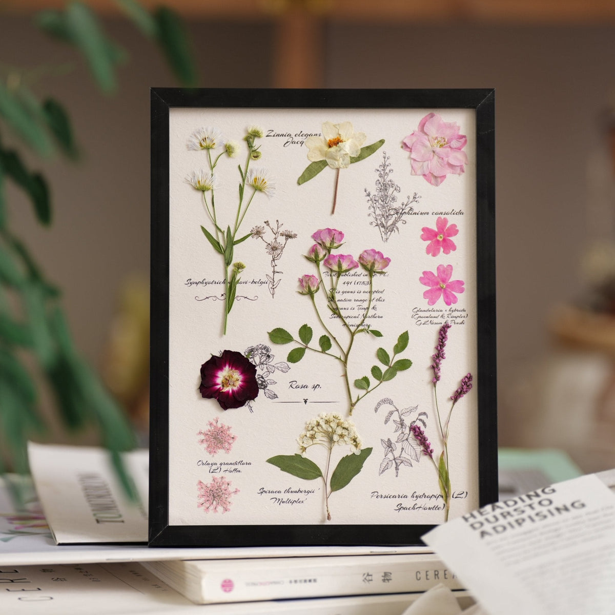 The Botanist's Journal | Real Pressed Botanical Art