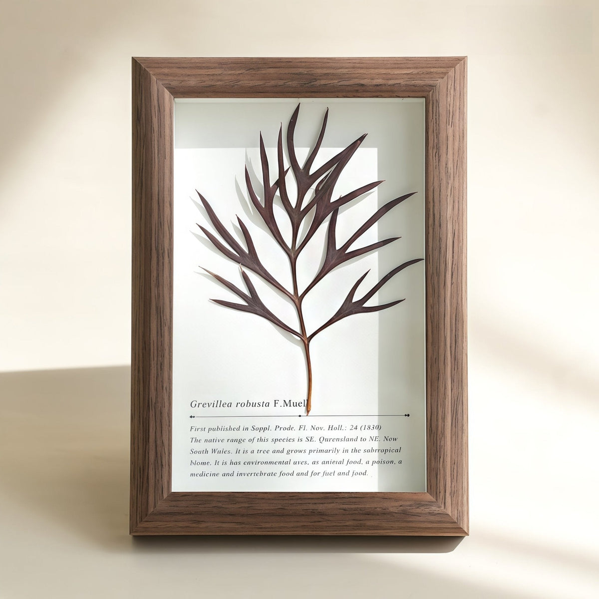 "The Landscape Garden"  Real Flower Shadow Box
