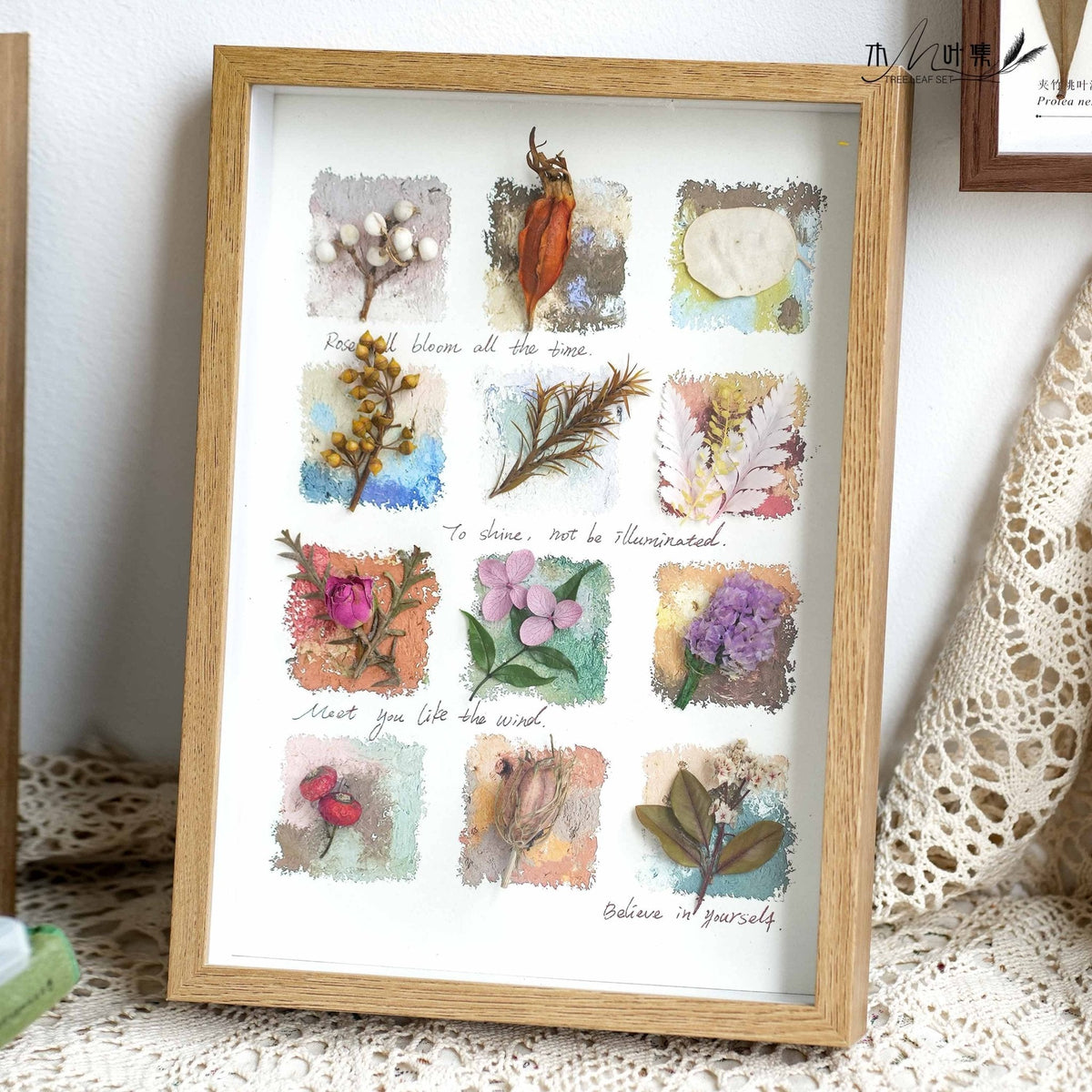 "Nature's Cabinet" Botanical Specimen Shadow Box