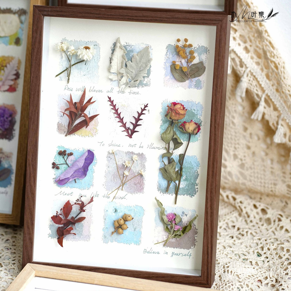 "Nature's Cabinet" Botanical Specimen Shadow Box